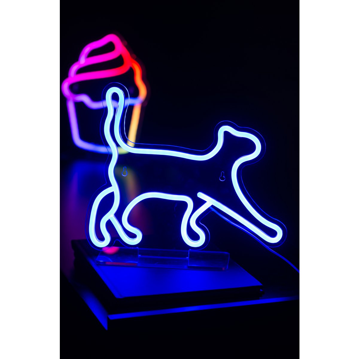 Neonlicht wandelende kat