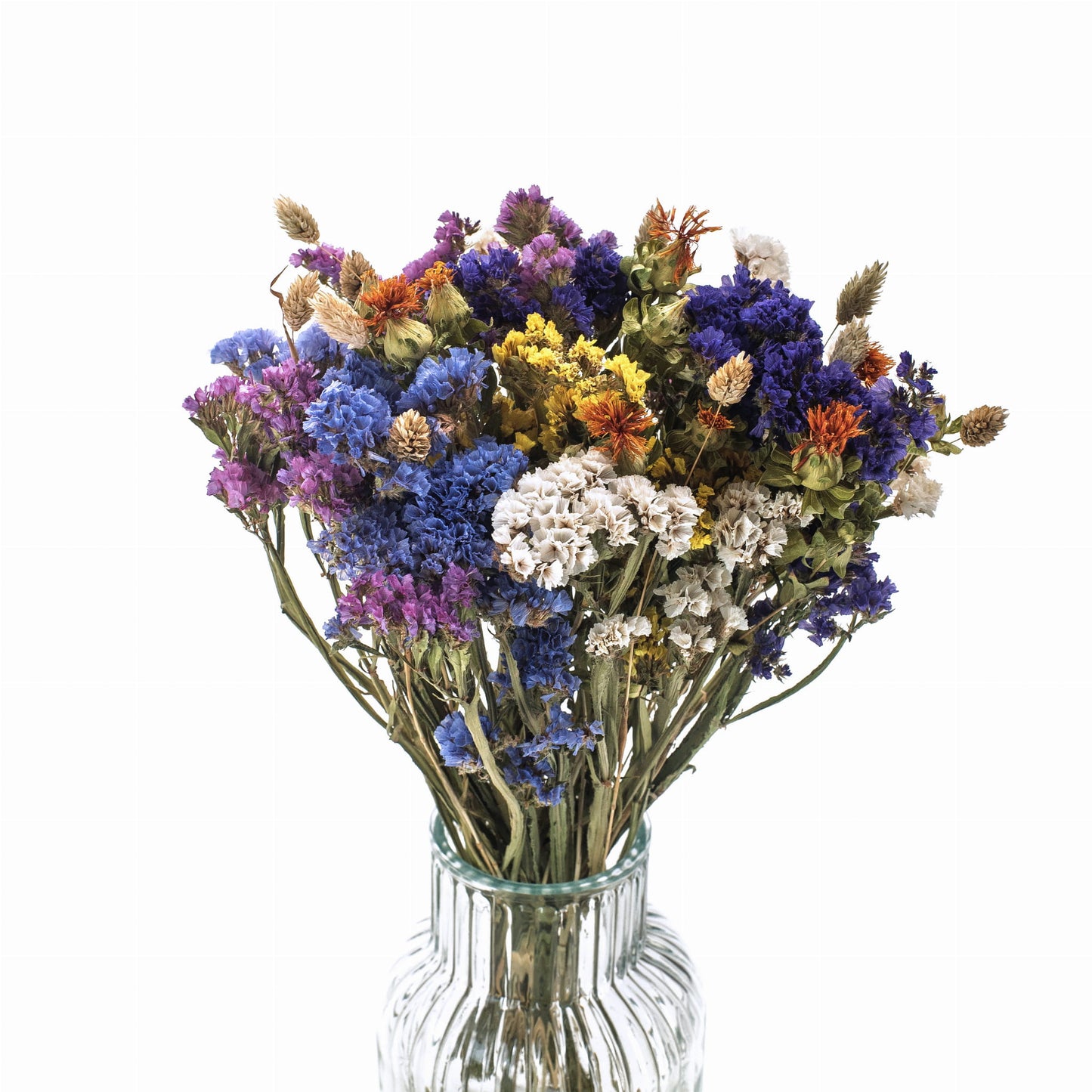 Gedroogde bloemen set Meadow-statice, saffloer, phalaris