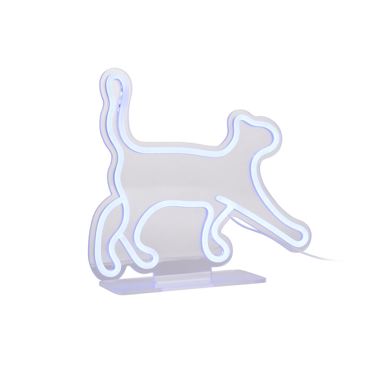 Neonlicht wandelende kat