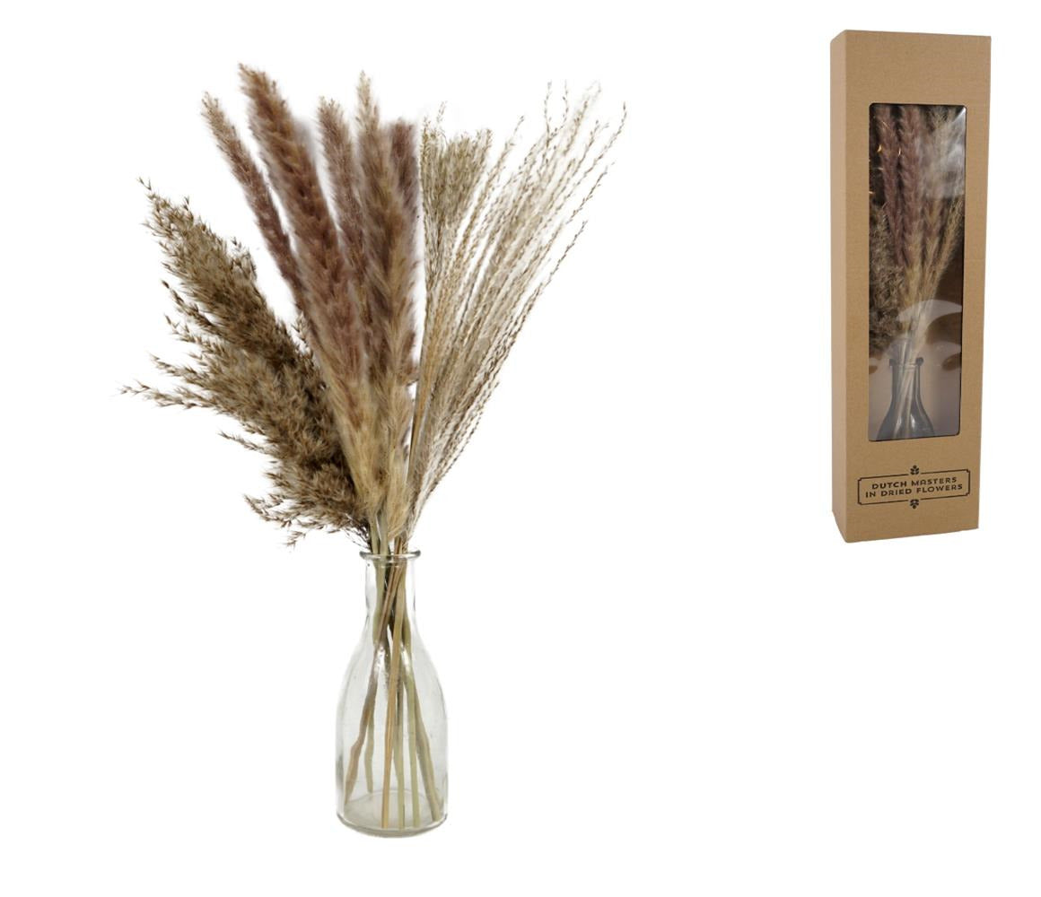 🌾 Pampas in Glazen Vaas – Gift Box - XL