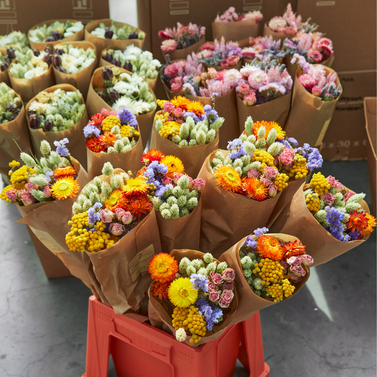 Droogbloemen - Multi