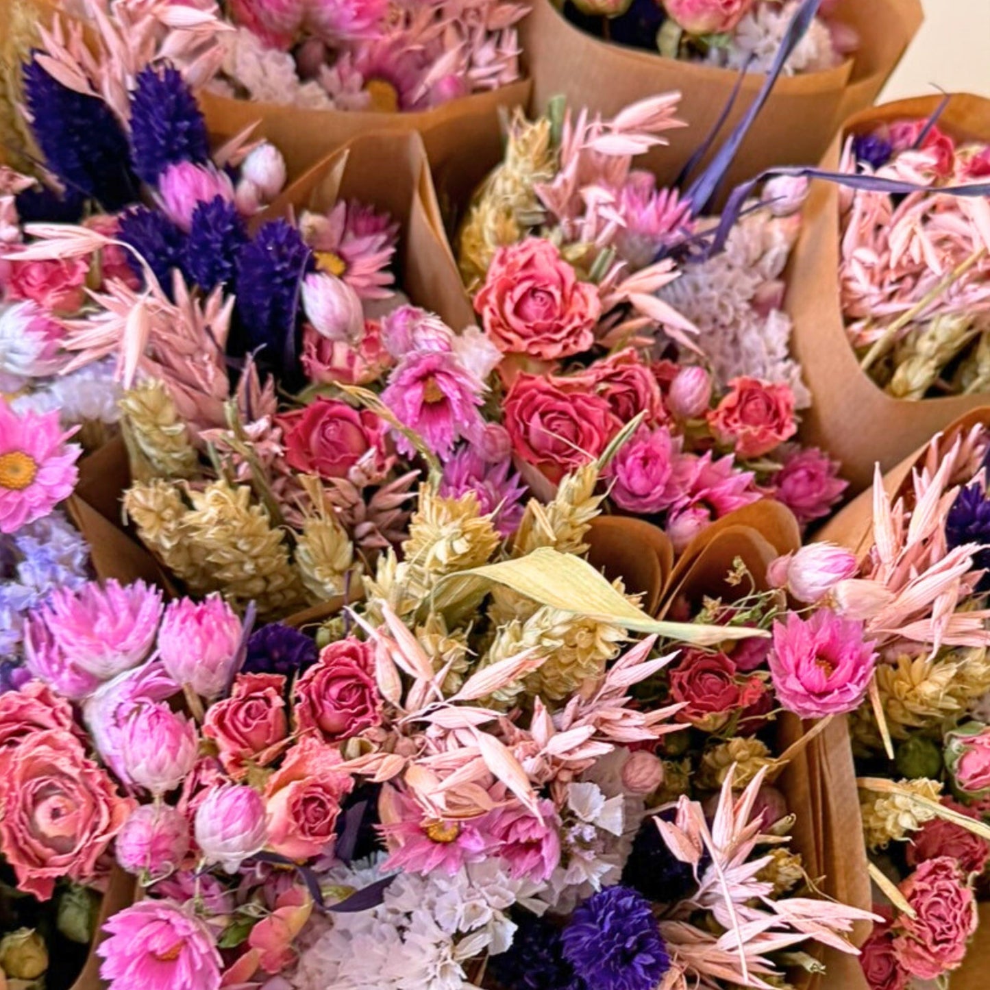Droogbloemen - Purple Glow