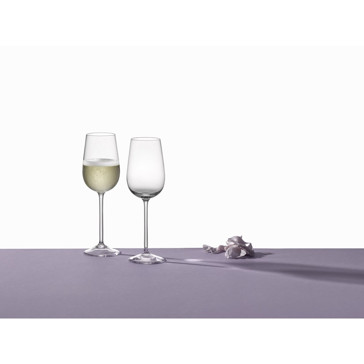 PROSECCO GLAZEN 150ML - SET VAN 6
