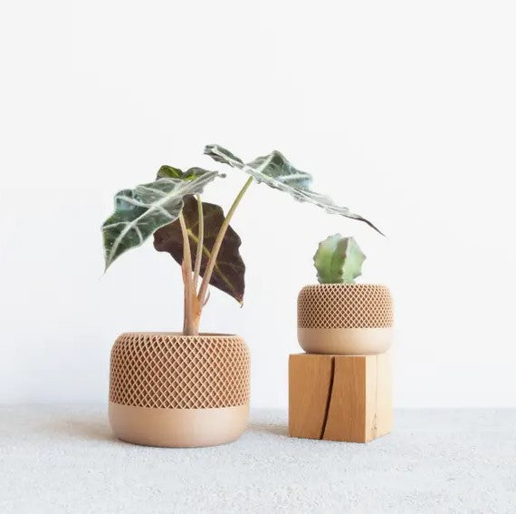 3D geprint! Apple bloempot naturel