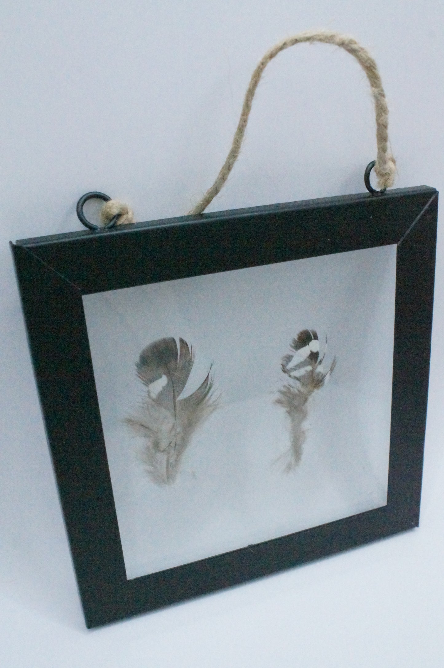 Veren tussen glasplaatjes