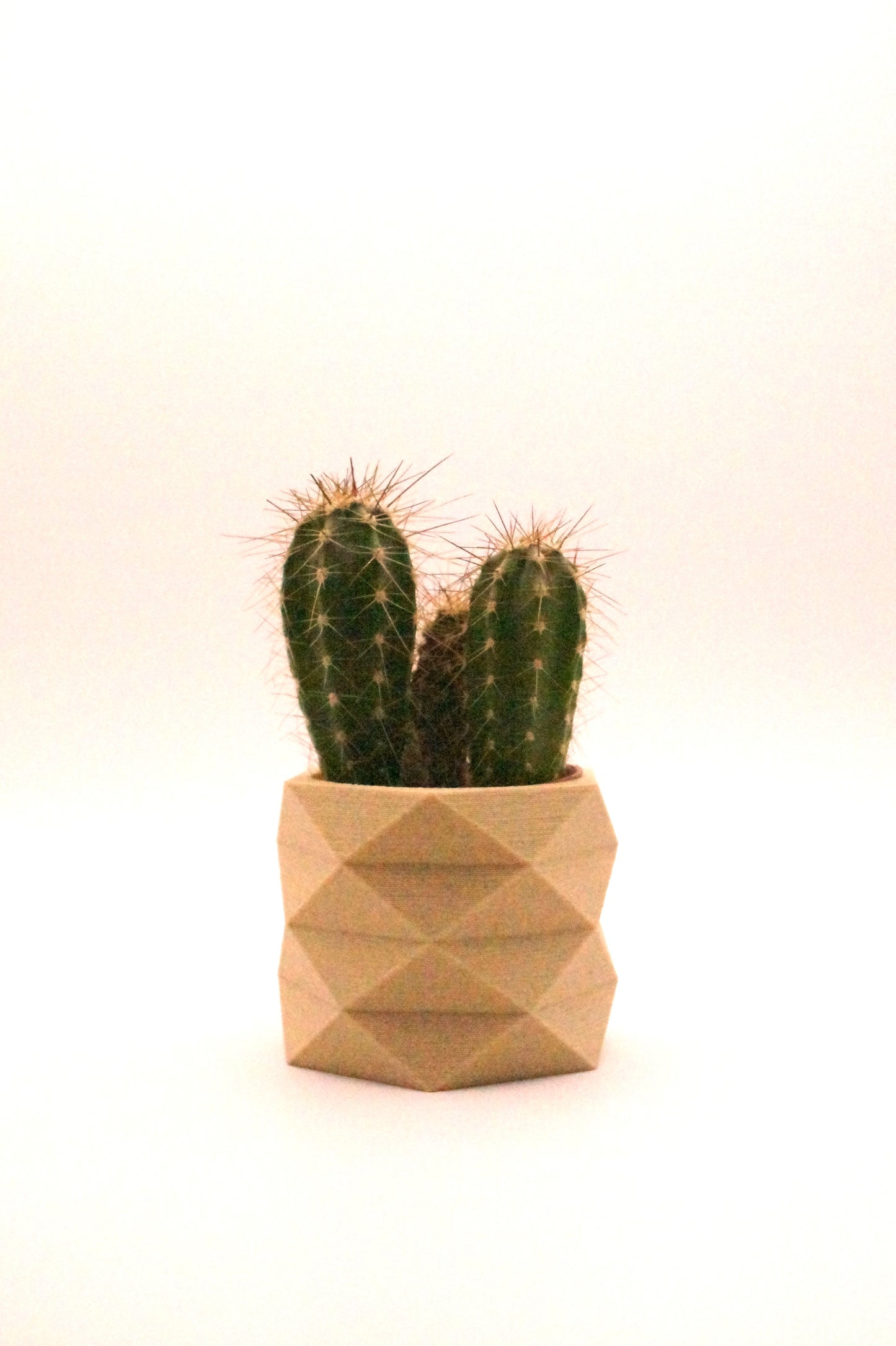 3D geprint! Bloempot PIKO