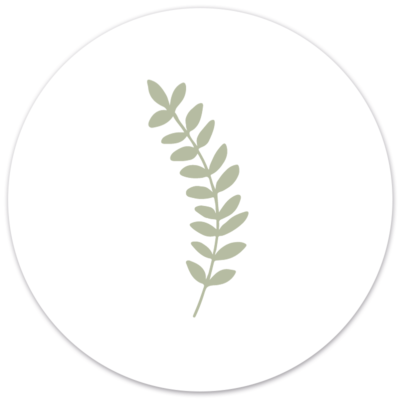 Muurcirkel blaadje groen