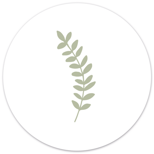 Muurcirkel blaadje groen