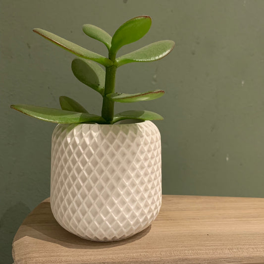 Homemade bloempotje - verschillende kleuren