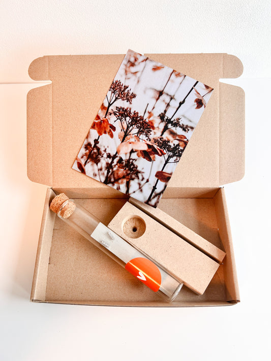 Giftbox - oorbellen