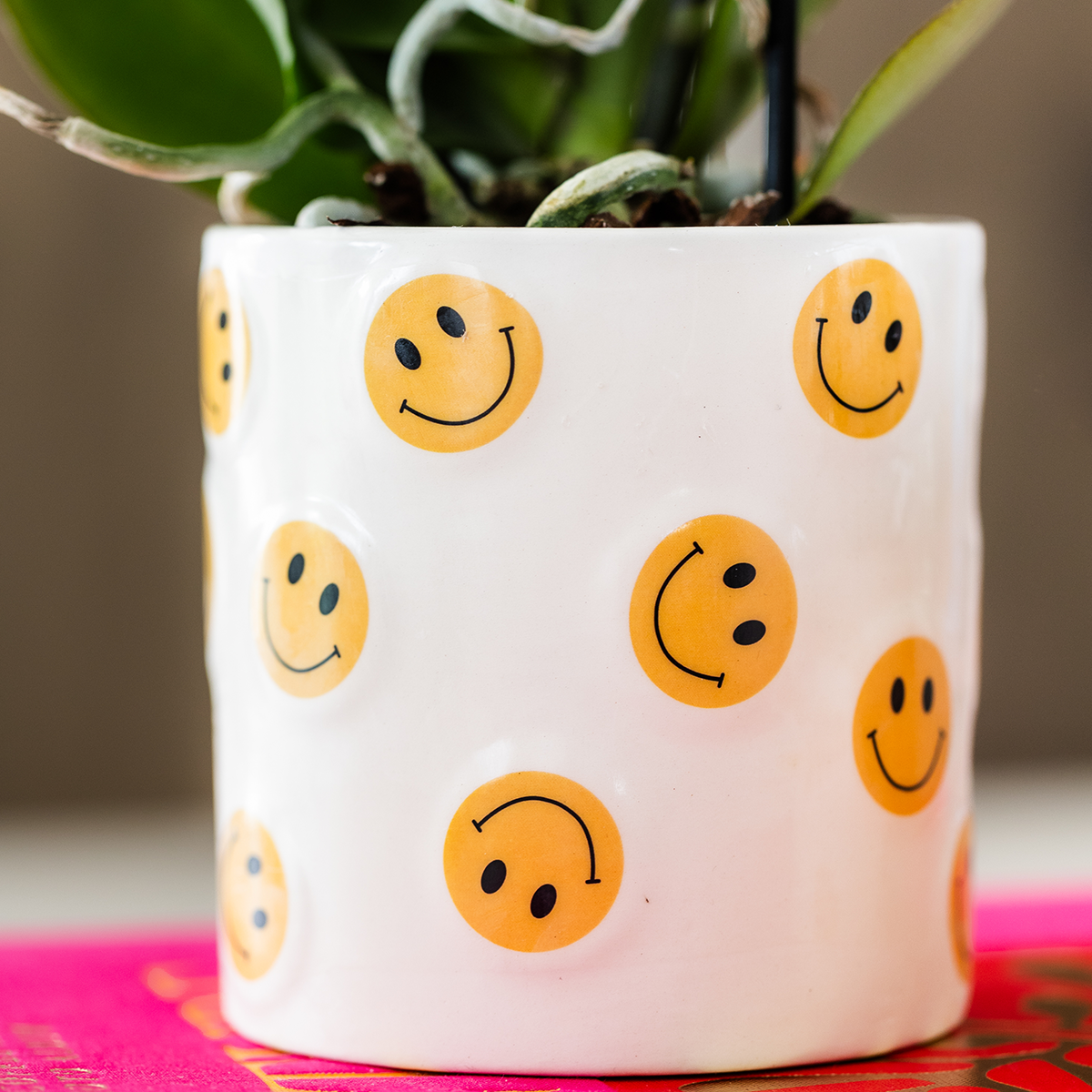 Smiley sierpot - Ø9cm en Ø6cm