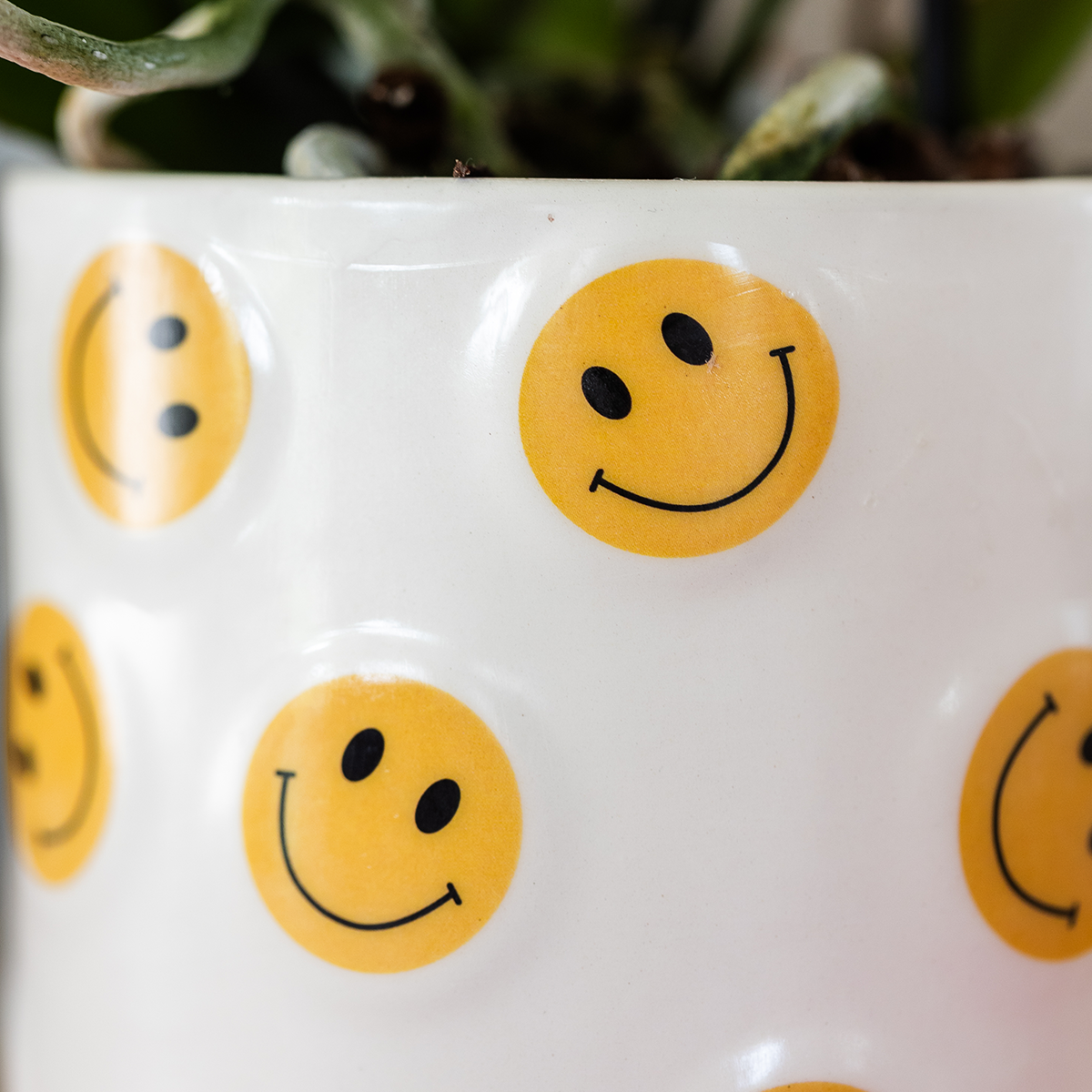 Smiley sierpot - Ø9cm en Ø6cm