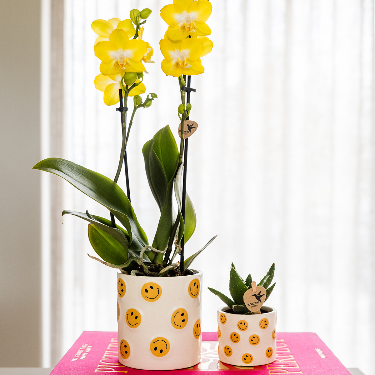 Smiley sierpot - Ø9cm en Ø6cm