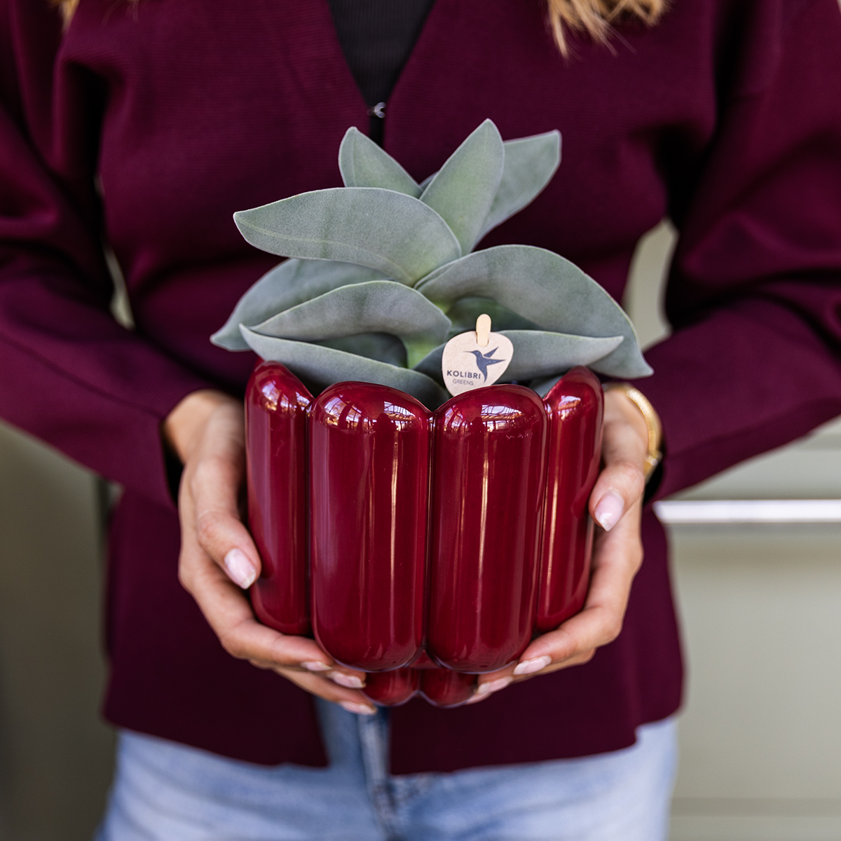 Retro Shine sierpot - Red - Ø12cm