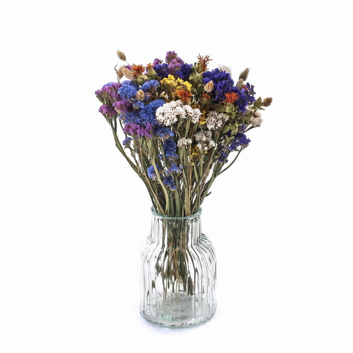 Gedroogde bloemen set Meadow-statice, saffloer, phalaris