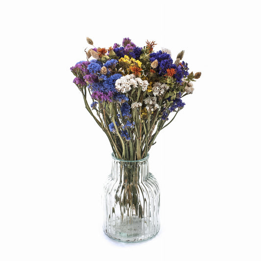 Gedroogde bloemen set Meadow-statice, saffloer, phalaris