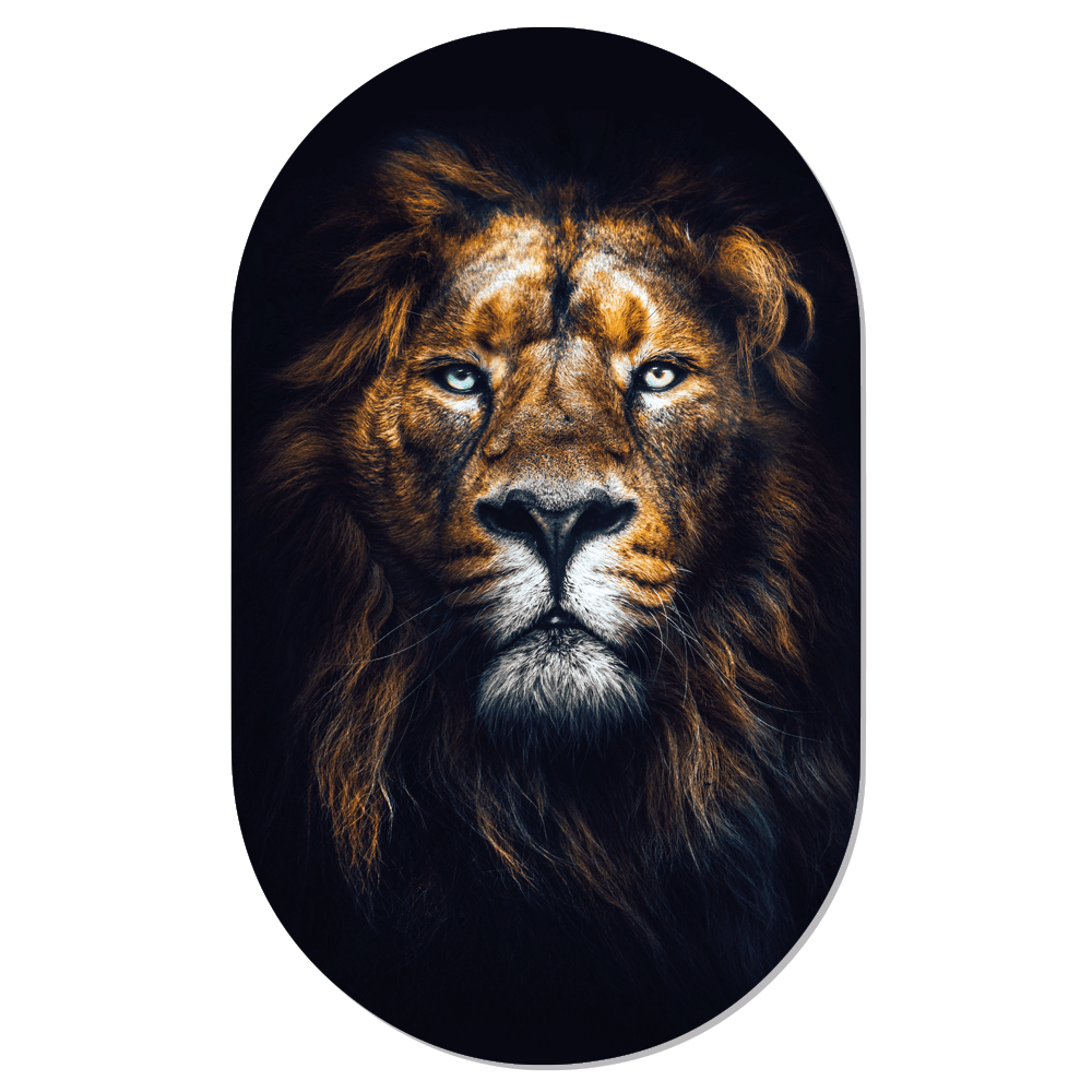 Muurovaal lion face