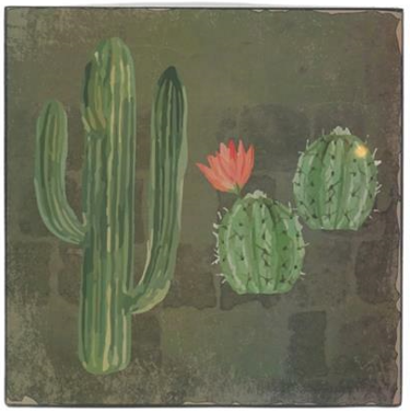 Schilderij cactus