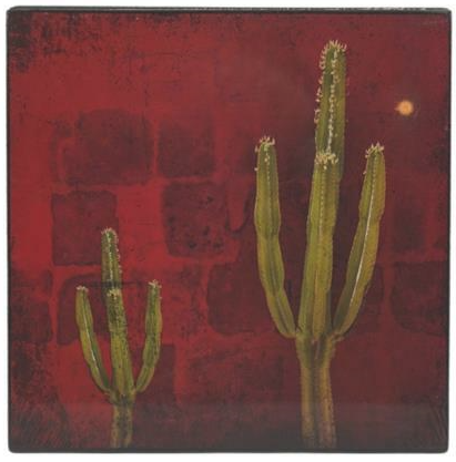 Schilderij cactus