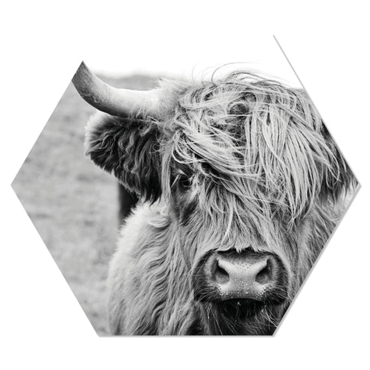 Muurhexagon cow