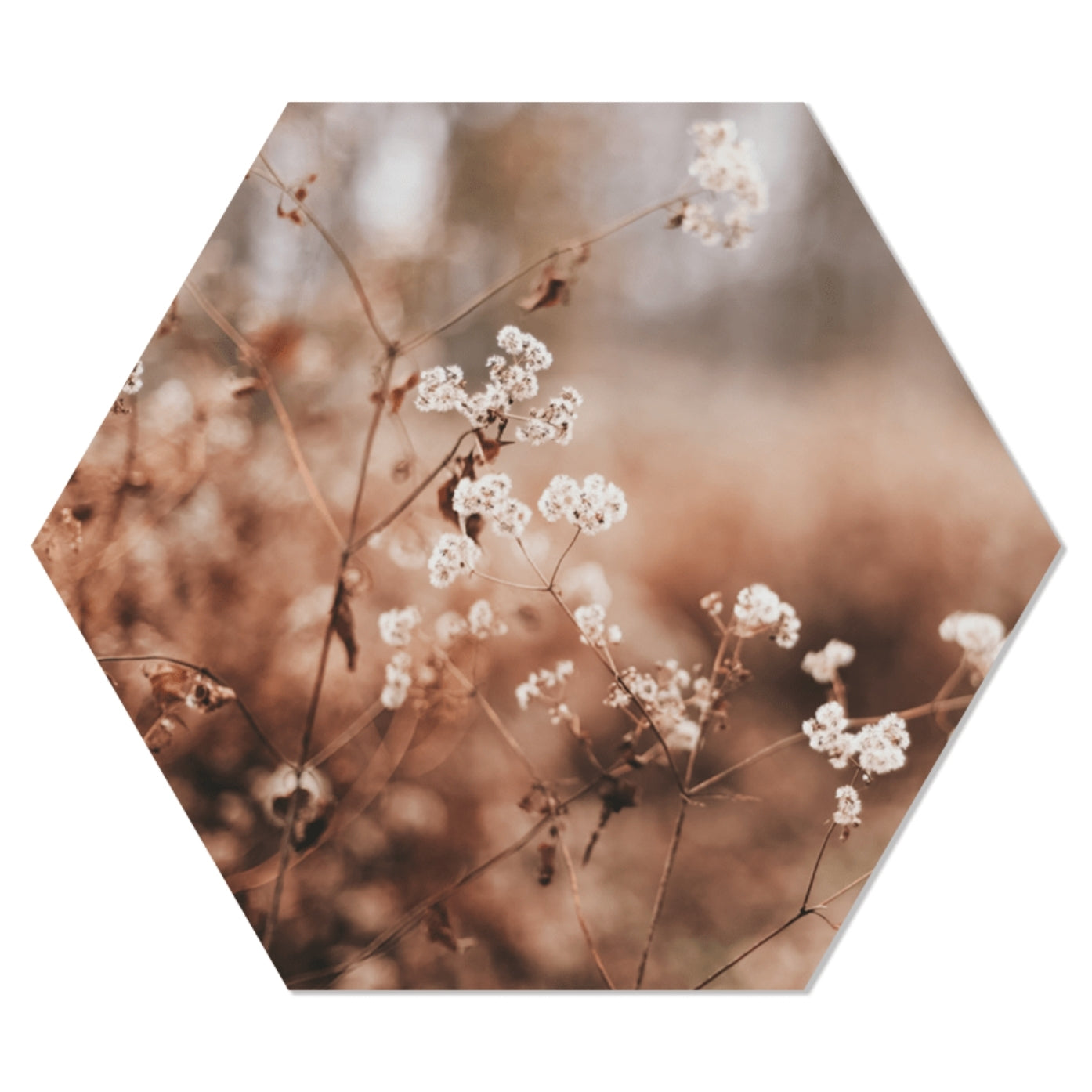Muurhexagon cosy flower