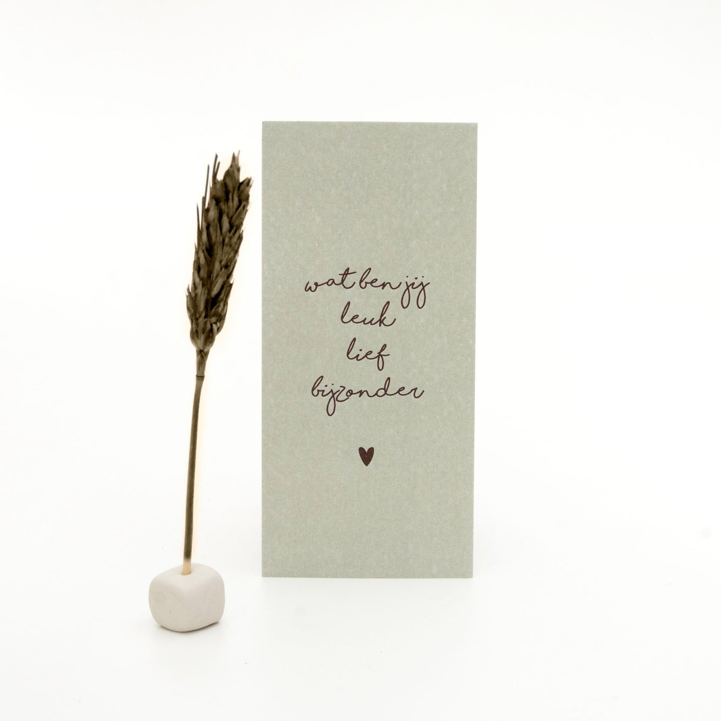 Little box dried flower - Wat ben jij