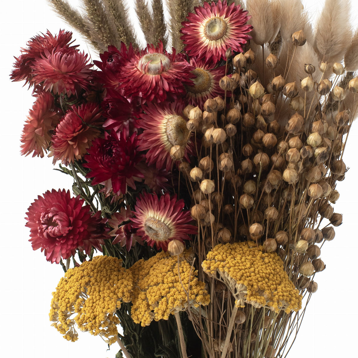 Gedroogde bloemen Bouquet Tarmonto Grootte L