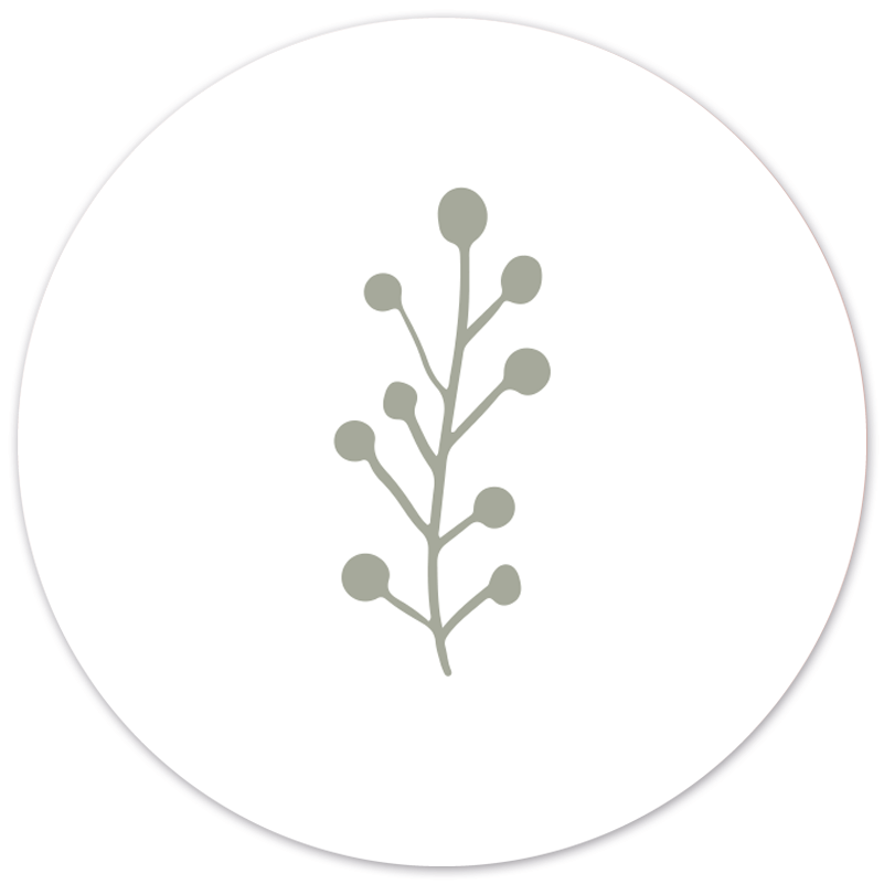 Muurcirkel leaf wit