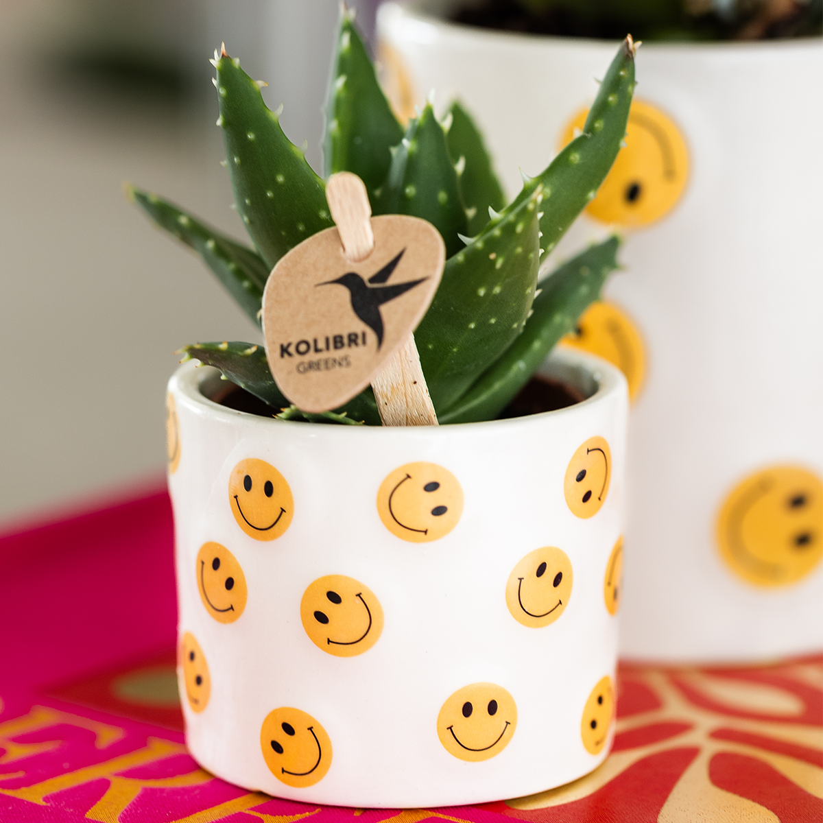 Smiley sierpot - Ø9cm en Ø6cm