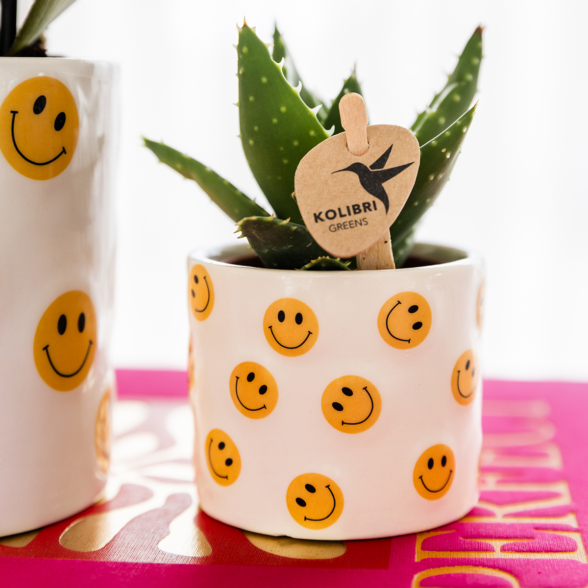 Smiley sierpot - Ø9cm en Ø6cm
