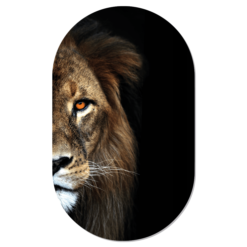 Muurovaal lion
