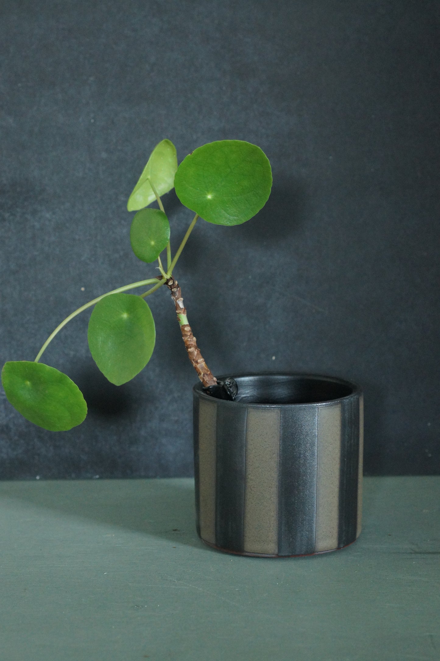 Bloempot gestreept groen