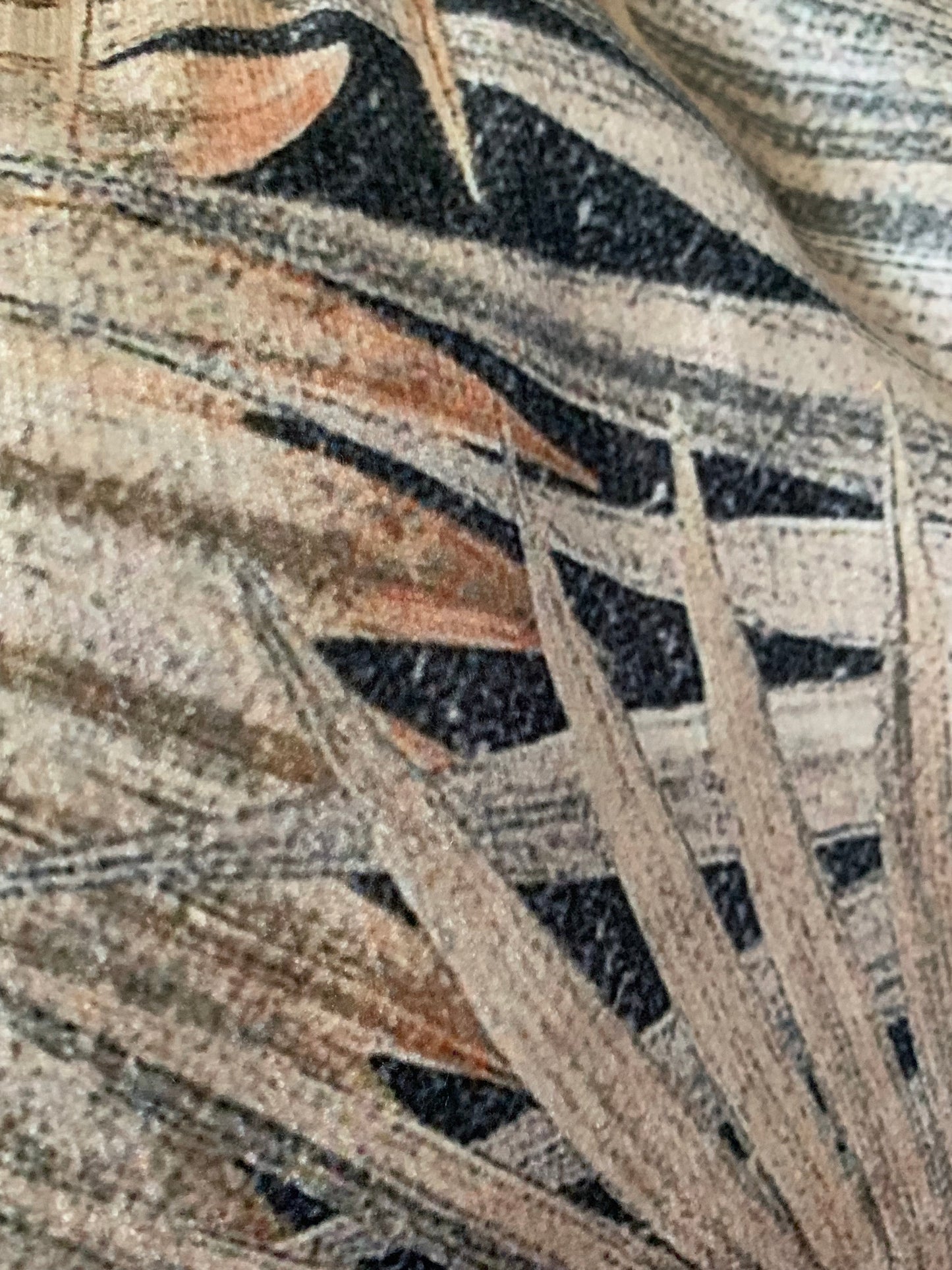 Sierkussen palm